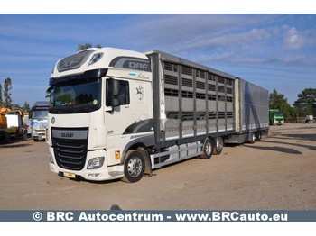 DAF XF 460 Pferdetransporter