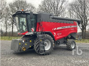 MASSEY FERGUSON Mähdrescher