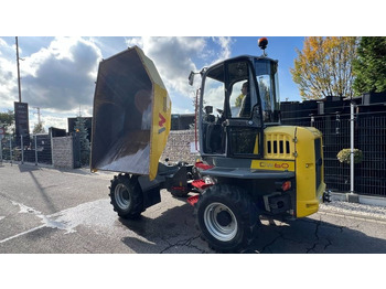 WACKER Knickgelenkter Dumper