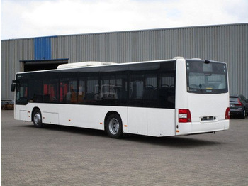 Linienbus MAN Lions City, A21, Euro 6, A/C, 39 Sitze: das Bild 2