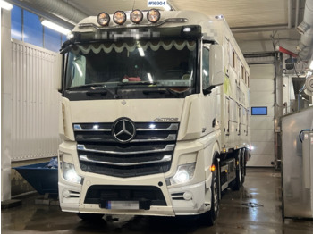 Tiertransporter LKW Mercedes Actros: das Bild 2