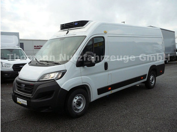 FIAT Ducato Kühltransporter