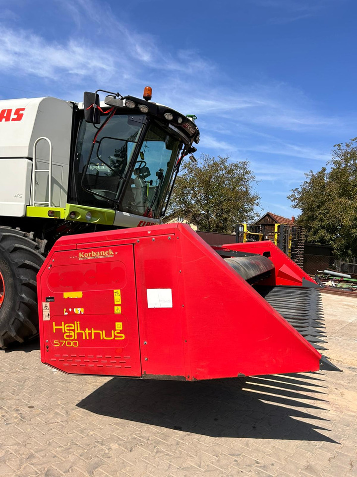 Maschine für Sonnenblumenernte Capello HeliAnthus 5700: das Bild 1